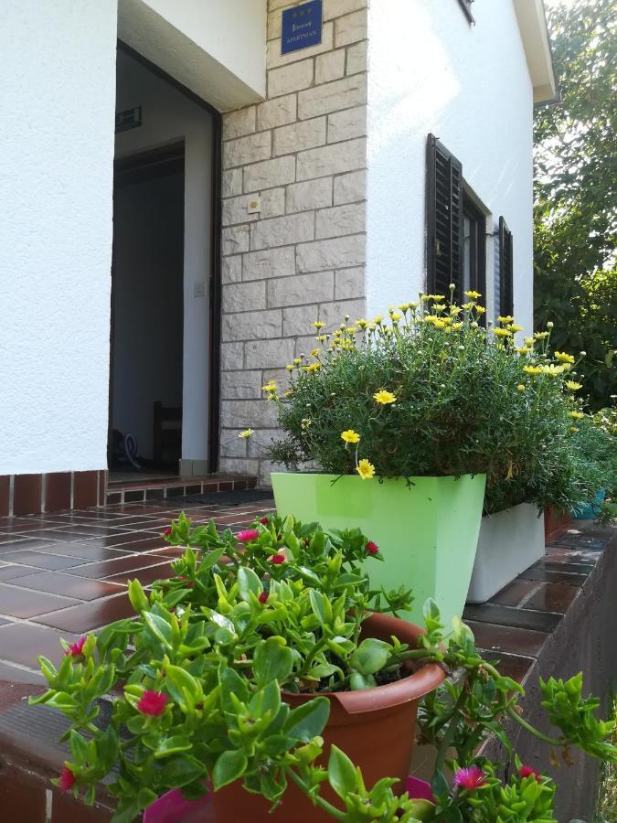 Eliva Apartment