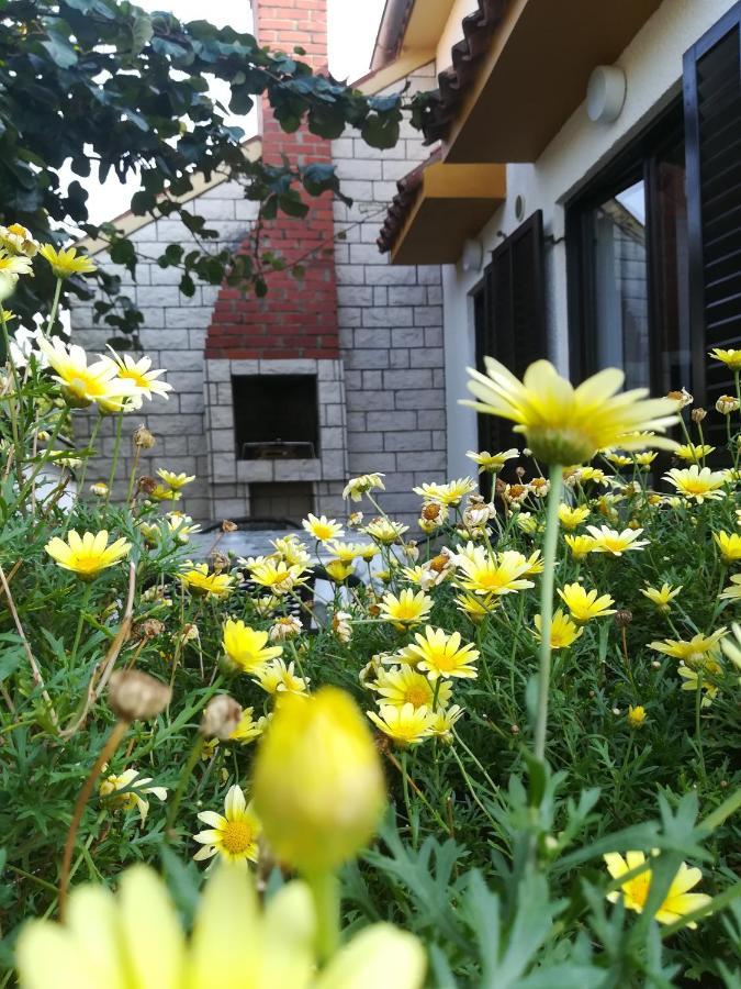 Apartma Eliva *