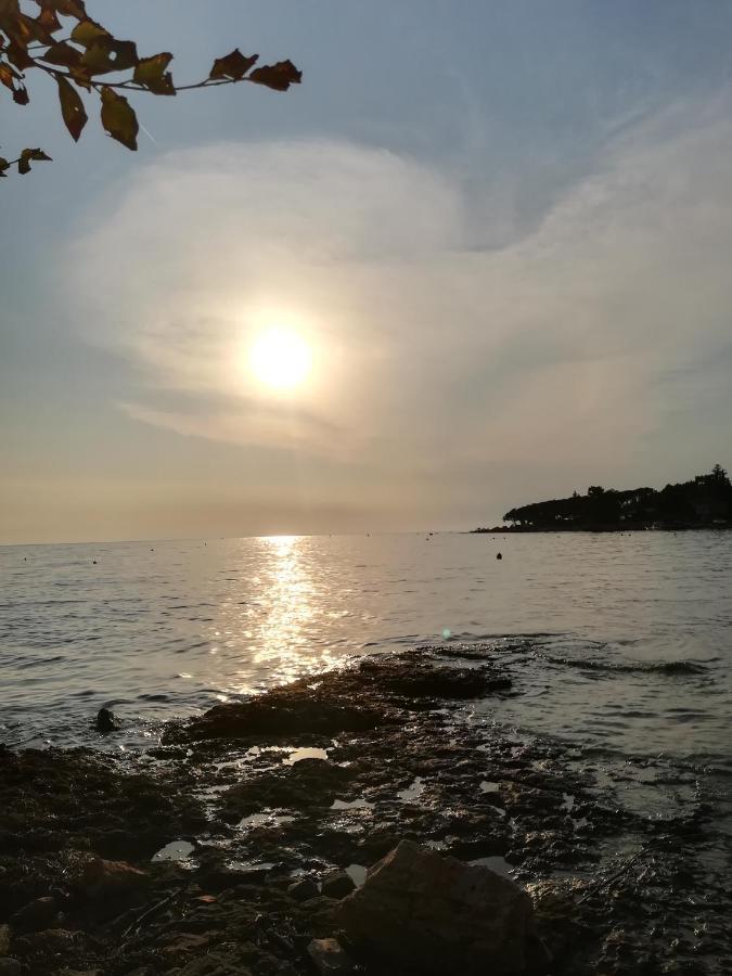 Eliva * Umag