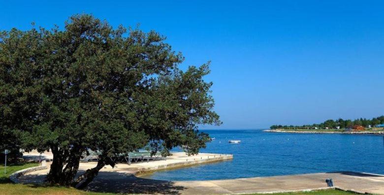 Eliva * Umag